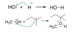 <p>Represent movement of electrons (Resonance)</p>