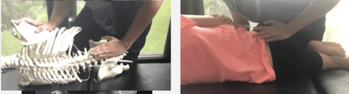 <p>PP: Basic side posture position with either side up-verbalize how you found the segment</p><p>DP: Modified fencer stance</p><p>CH: Caudal hand hypo/calcaneous slides inferiorly to contact sacral apex</p><p>IH: Cephalic hand slight upward traction holding the pt's up-side shoulder or overlapping hand</p><p>LOD: P-A, S-I</p>