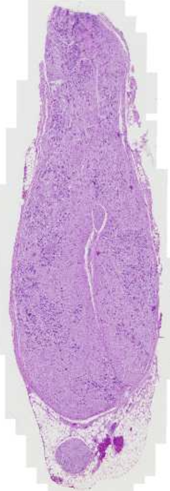 <p>What is this?</p>