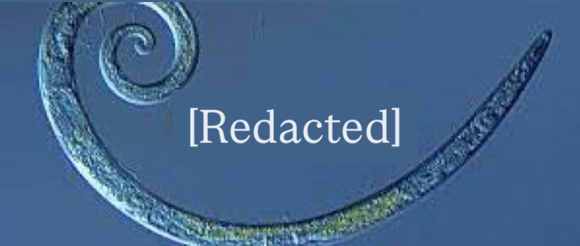 <p>Nematodes</p>