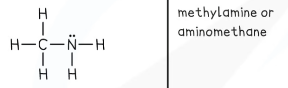 <p><span><strong>Amines</strong></span></p>
