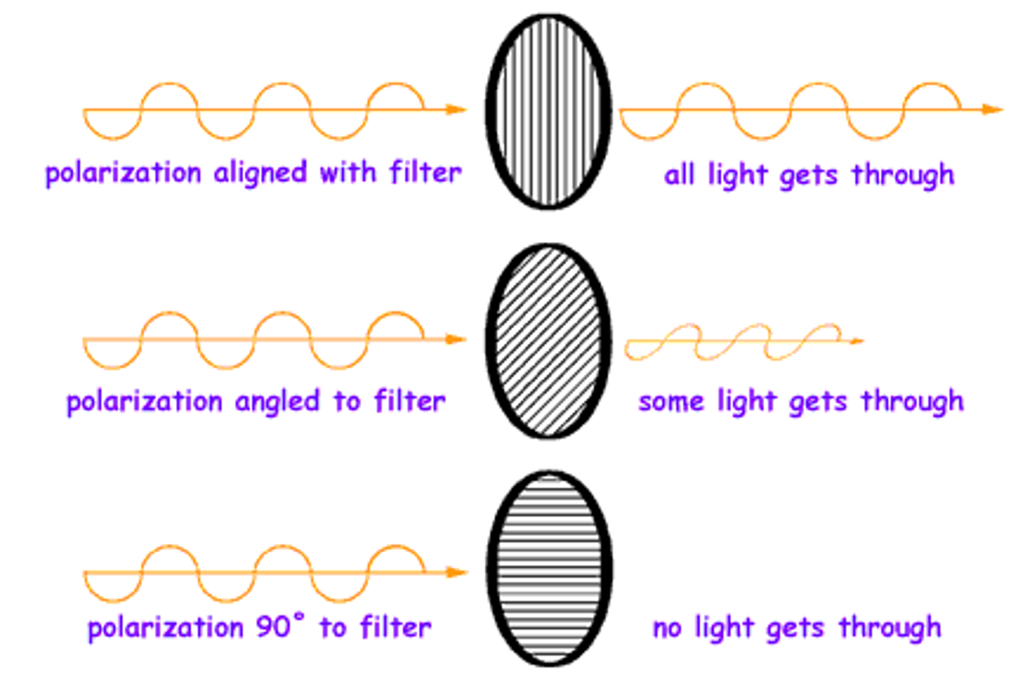 <p>- A polarizing filter only lets waves through that are vibrating in a certain direction.<br>- only let through light in the same path of the vertical strip <br>- light goes in waves, so the wave will either go through the paper or the wave will not match the filter</p>