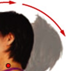 <p>Which synovial joint movement is:</p><ul><li><p>Extension past normal posture</p></li></ul><p></p>