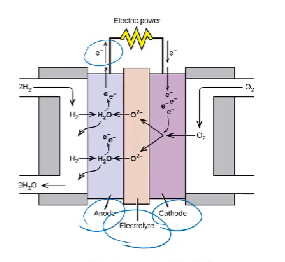 <ul><li><p>poor reliability over long periods of time</p></li><li><p>expensive</p></li><li><p>producing hydrogen gas requires a lot of electricity</p></li><li><p>about 30% efficient </p></li></ul><p></p>