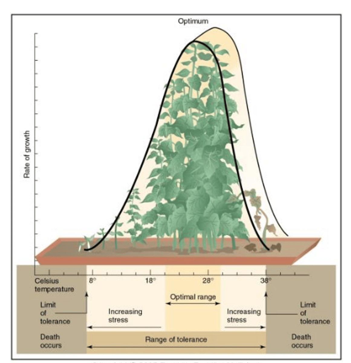 <p>States that too much or too little of any abiotic factor can limit or prevent growth of a population of a species in an ecosystem. Any abiotic factor outside the range of tolerance over time can result in death.<br>Examples of Abiotic Factors:<br>-Terrestrial<br>-Temperature<br>-Water/Moisture<br>-Soil<br>-pH<br>-Salinity<br>-Temperature<br>-Sunlight<br>-Dissolved Oxygen</p>