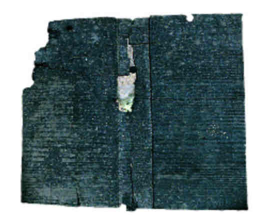 <p>What is in this photo?</p>