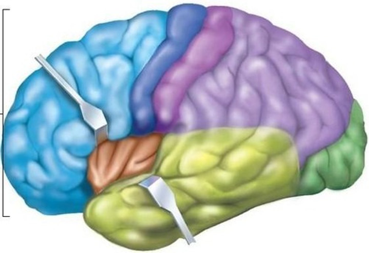 <p>An appeal to reason; one of the fundamental strategies of argumentation identified by Aristotle. It occurs when a writer tries to convince you of the logic of his argument.</p>