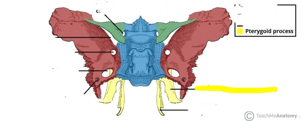 <p>What is the structure? </p>