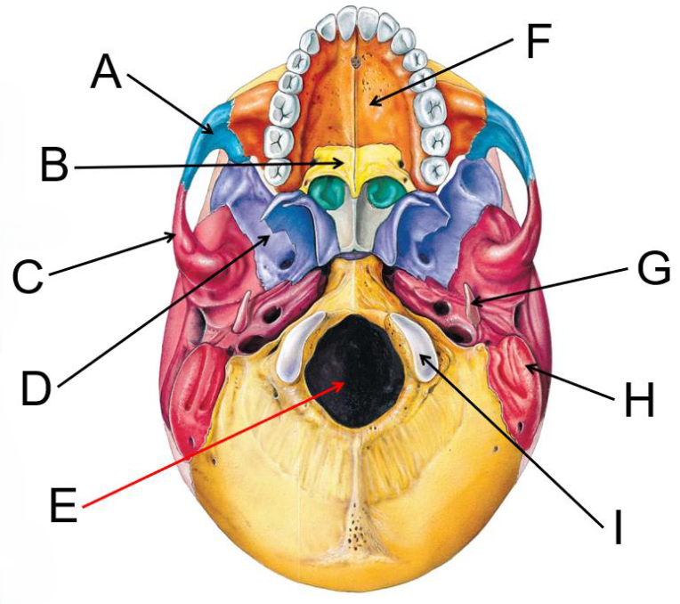 <p>What is B?</p>