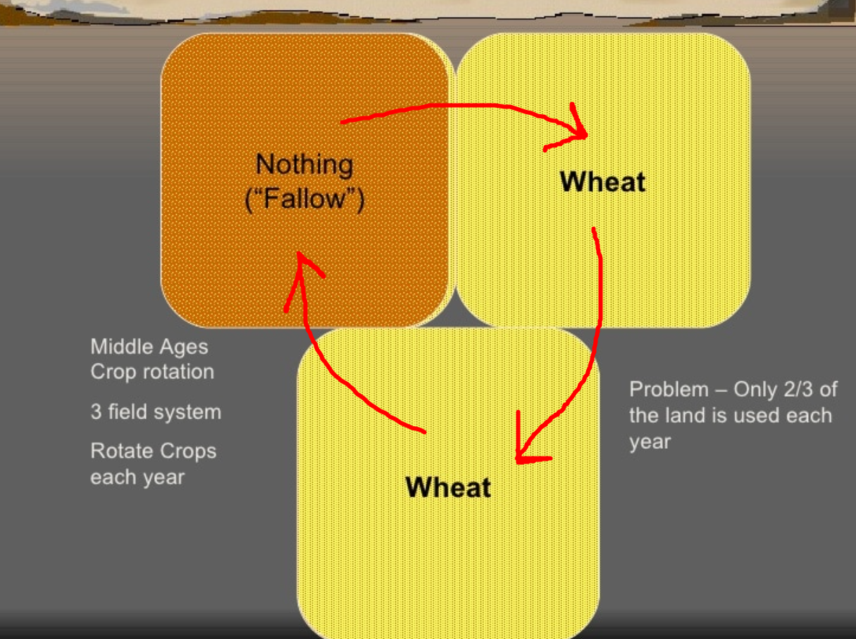 <p>The 3 Field System involved rotation, a portion of the land must be laying fallow, and the use of clover on one of the fields. It&apos;s used to enhance the soil.</p>