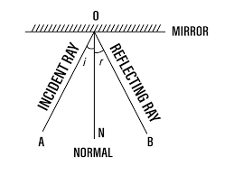 What point connects both rays? The ____