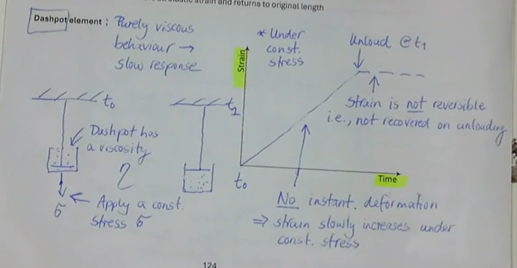 <ul><li><p>purely viscous behaviour → slow response</p></li><li><p>under constant stress:</p><ul><li><p>no instant deformation → strain slowly increases</p></li><li><p>strain is not reversible, i.e., not recovered on unloading&nbsp;</p></li></ul></li></ul><p></p>