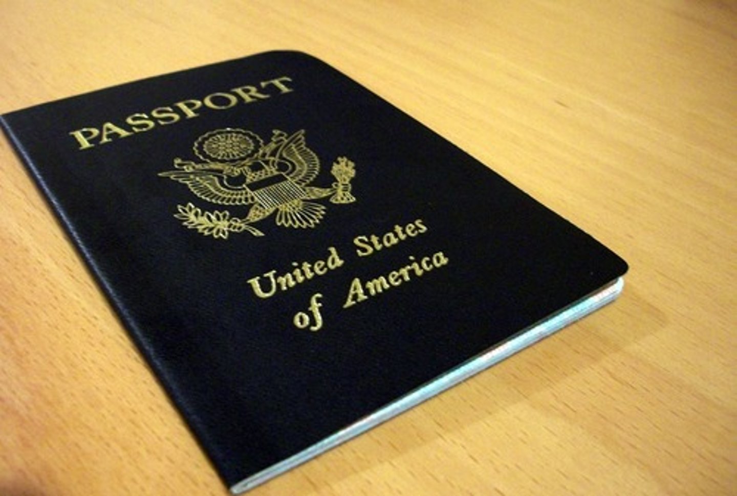 <p>el pasaporte</p>