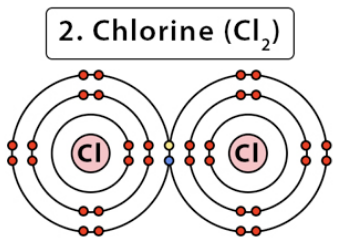 <p>What is a molecule called when its electrons are shared equally?</p>