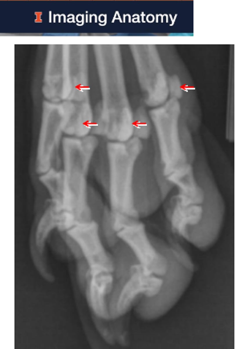 <p>What is shown?</p>