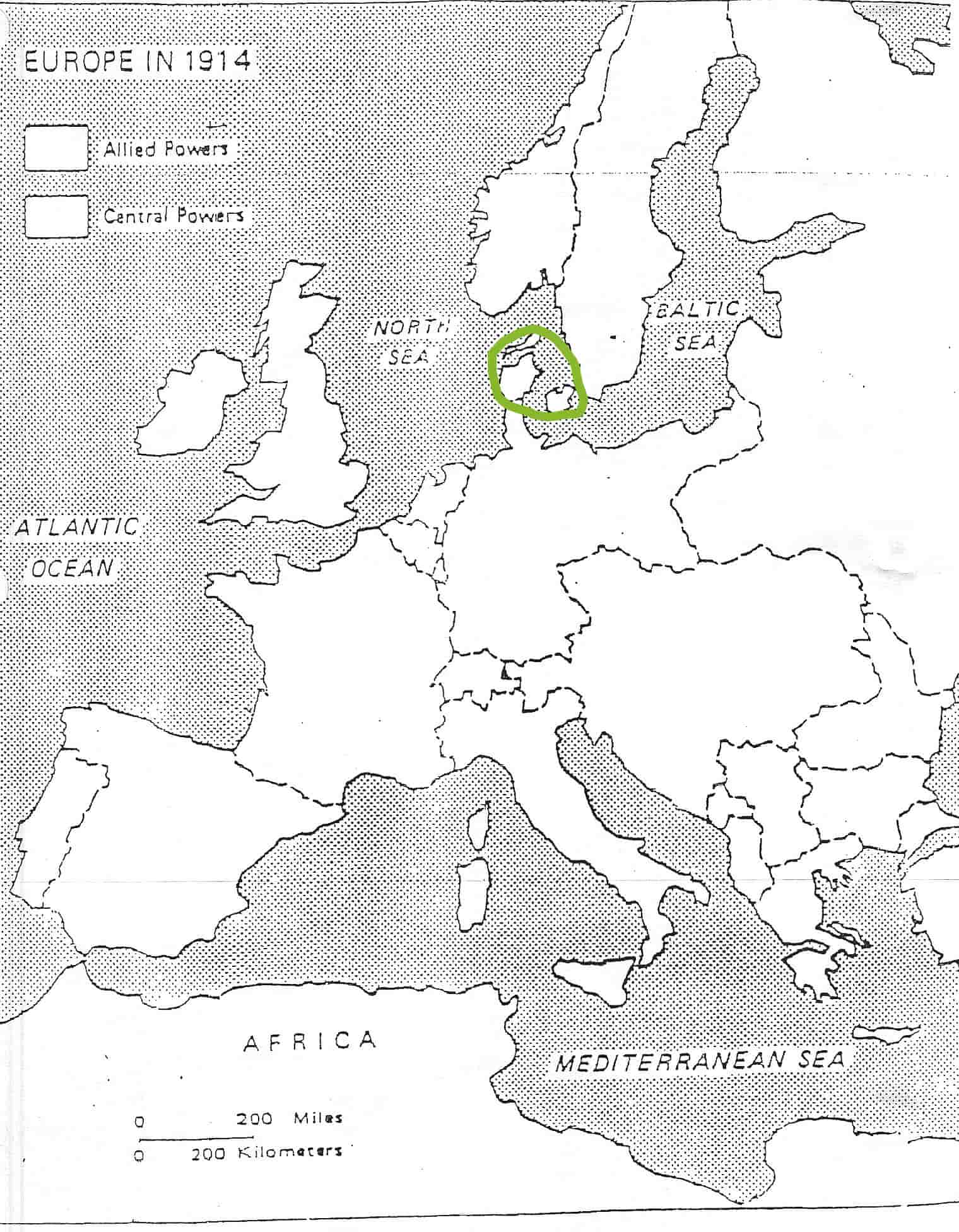 term image