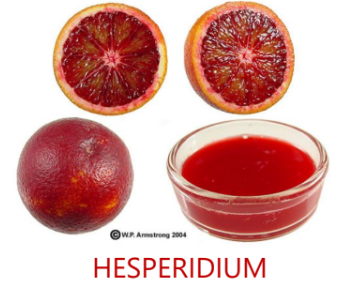 HESPERIDIUM