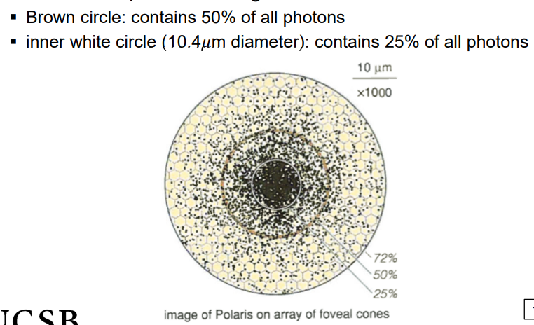 <p>an image of a point of light is spread over many cones (scattered over a local region of the fovea)</p><ul><li><p>2% of photons lie farther than a millimeter from the foveal center (gray circle)</p></li><li><p>scattering due to close encounters with molecules</p></li></ul><p></p>