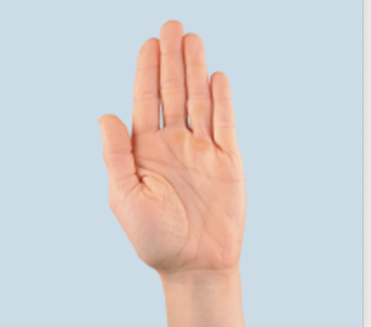 <p>thumb returns to anatomical position </p>