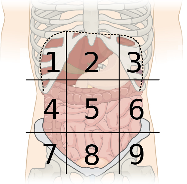 <p>4</p>