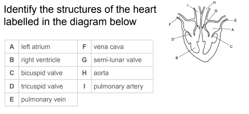 <p> </p>