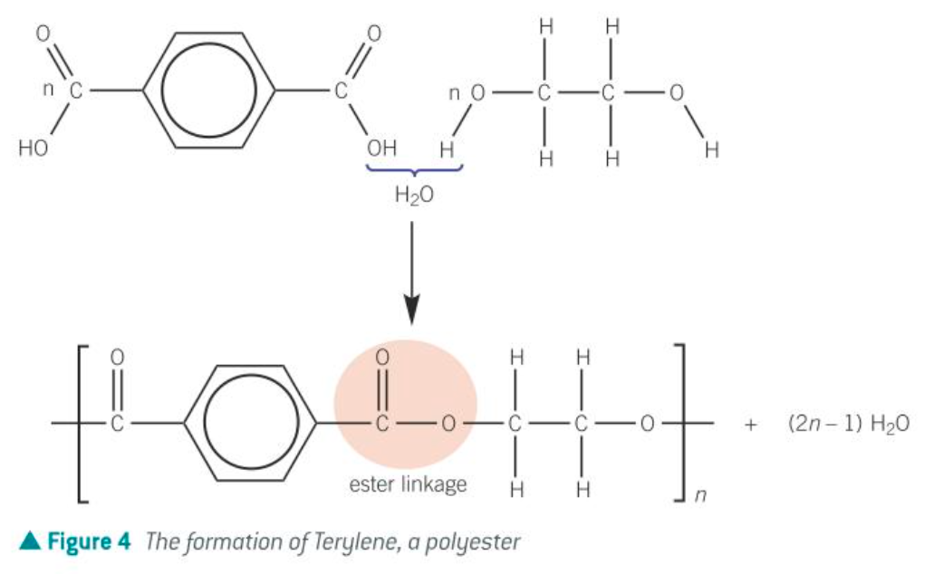 <p>what’s another name for terylene</p>