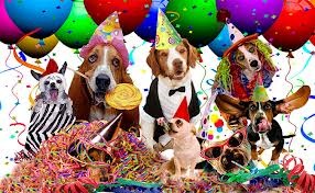 birthday