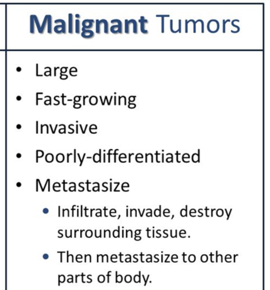 <ul><li><p><span>in </span><strong><span>cancer </span></strong><span>cells, mutations have </span><strong><span>removed these controls </span></strong><span>and allows for the cells to </span><strong><span>continually grow </span></strong><span>out of control</span></p><ul><li><p><span>– &nbsp;They may not detect neighbouring cells</span></p></li><li><p><span>– &nbsp;They may produce their own growth hormones to stimulate cell division</span></p></li><li><p><span>– &nbsp;They may not produce tumour suppressor proteins</span></p></li><li><p><span>– &nbsp;They ignore normal apoptotic processes</span></p></li></ul></li></ul>