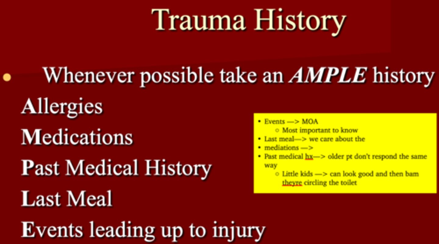 <p>1. Allergies</p><p>2. Medications (-/+ inotropic effect)</p><p>3. Past medical hx</p><p>4. Last Meal (for intubation to protect the airway)</p><p>5. Events leading up to injury</p>