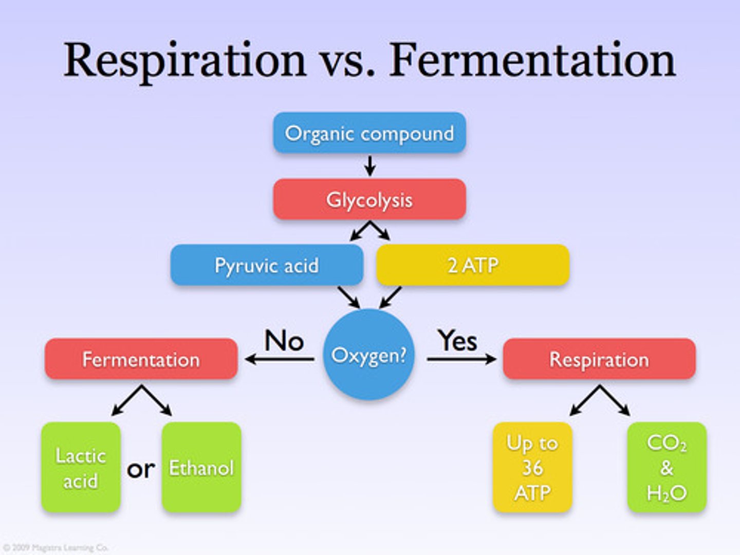 <p>Speaking specifically about energy metabolism, the anaerobic degradation of a substance such as glucose to smaller molecules such as lactic acid or alcohol with the extraction of energy. (2) Speaking generally, metabolic processes that occur in the absence of O2.</p>