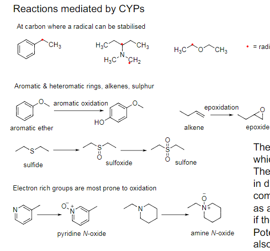 At carbon where a radical can be stabilised

Aromatic & heteromatic rings, alkenes, sulphur

Electron rich groups are most prone to oxidation
