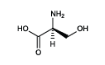 <p>Serine </p>