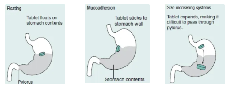 <ul><li><p>floating</p><ul><li><p>tab floats on stomach contents due to being less dense, thus avoiding gastric emptying</p></li></ul></li><li><p>mucoadhesion</p><ul><li><p>tab sticks to the stomach wall to be retained in the stomach</p></li></ul></li><li><p>size increasing</p><ul><li><p>tab expands in the stomach, making it harder to pass through the pyloric sphincter so it is retained in the stomach</p></li></ul></li></ul><p></p>
