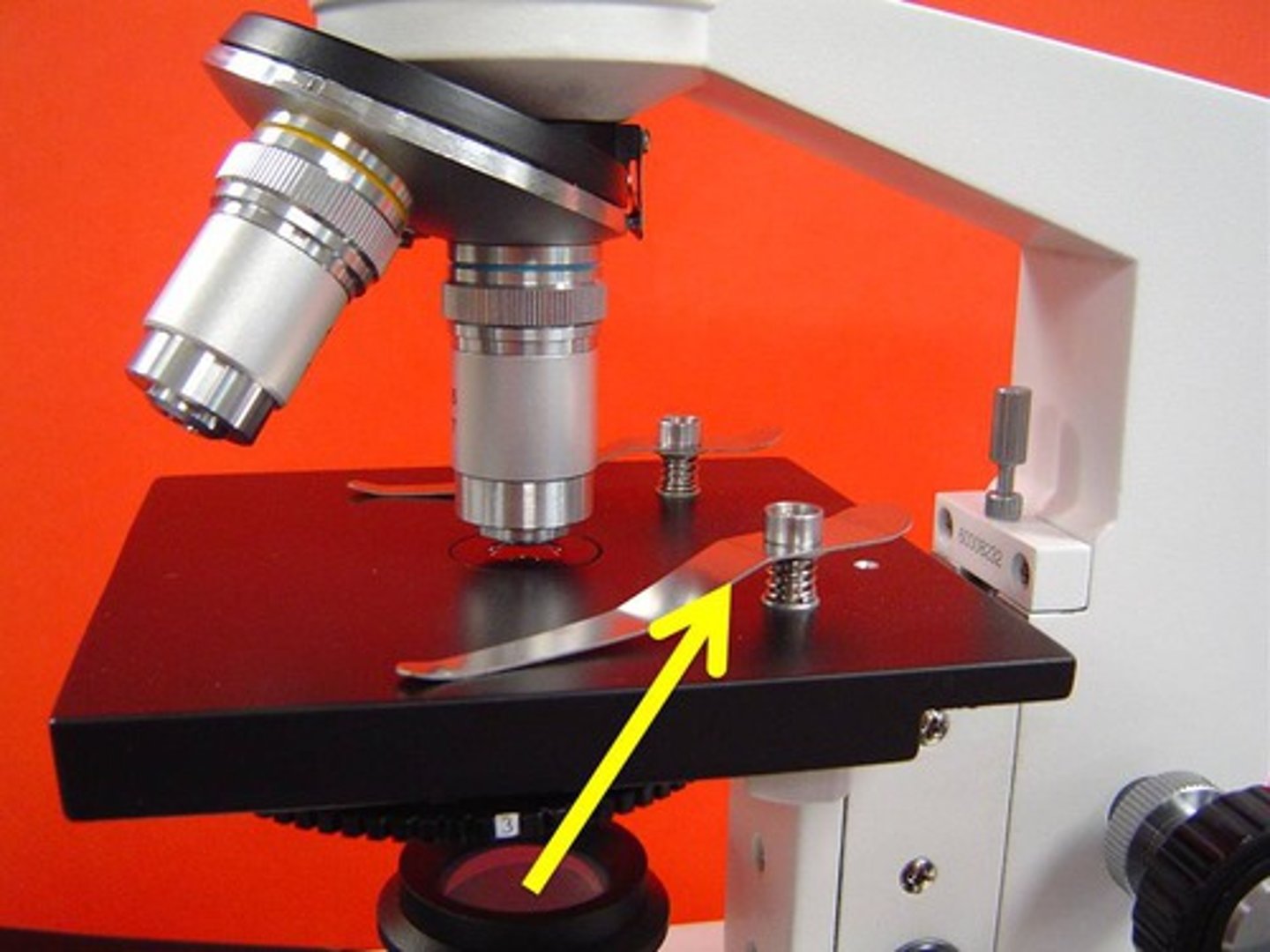 <p>holds the slides in place on the stage for viewing.</p>