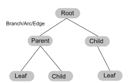 <ul><li><p>a tree is a connected form of a graph</p></li><li><p>node - an item in a tree</p></li><li><p>root - top node, no incoming nodes</p></li><li><p>child - a node with incoming branches</p></li><li><p>branch - connects two nodes together</p></li><li><p>parent - a note with outgoing branches</p></li><li><p>leaf - a node with no children</p></li><li><p>subtree - subsection of a tree consisting of a parent and all the children of the parent</p></li></ul><p></p>