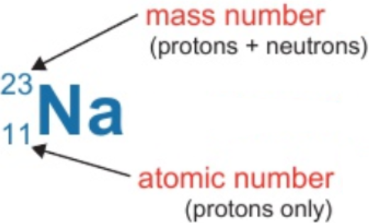 <p><strong>protons</strong> = atomic number = <strong>11</strong></p><p><strong>electrons </strong>= protons = <strong>11</strong></p><p><strong>neutrons </strong>= mass number - atomic number = 23 - 11 = <strong>12</strong></p>