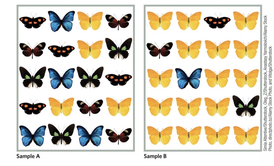 <ul><li><p>Sample A: equal chance that I will encounter all of the species in a short period of time</p></li><li><p>Species B: might not encounter the blue butterfly because there are so many yellow and not as many of the other species</p></li><li><p>So how do we say this community consists of all 5 species in both samples, if in B it is unlikely that I sample everyone</p></li><li><p>Rarity imposes challenges for sampling, as rare species are rarely sampled and may, thus, be missed when documenting community composition</p></li></ul><p></p>