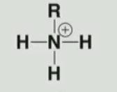 <p>Identify the functional group</p>