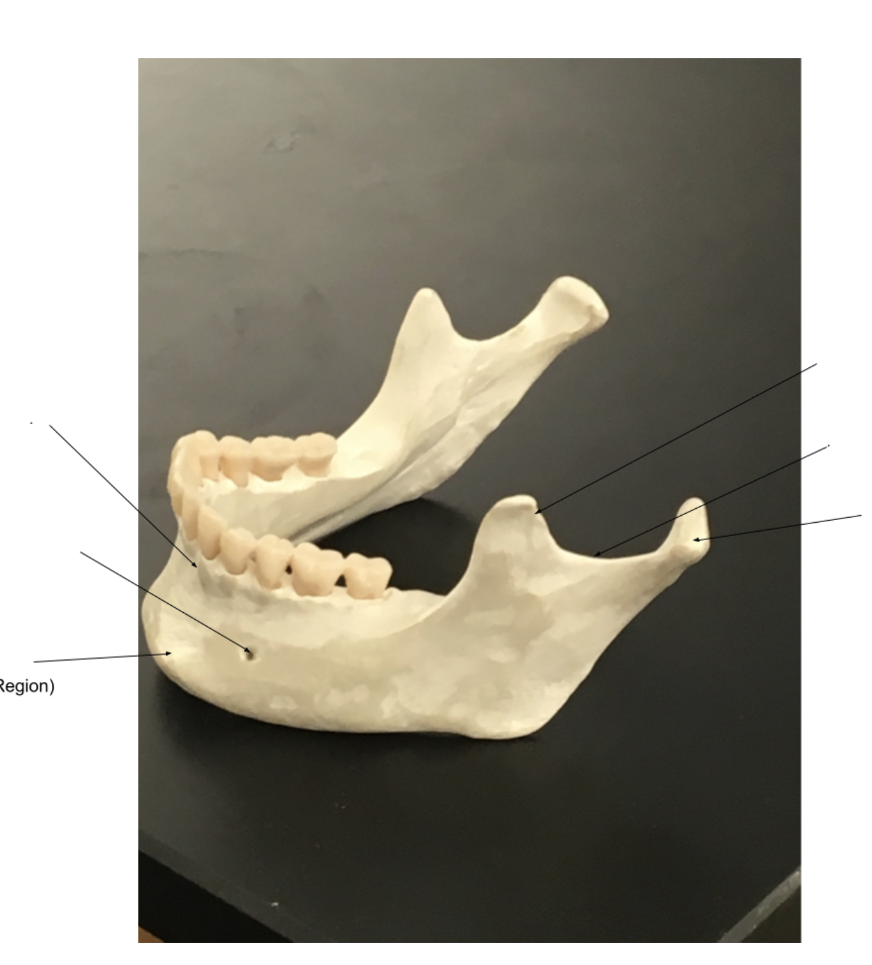 <p>Left:</p><ol><li><p></p></li><li><p></p></li><li><p></p></li></ol><p>Right:</p><ol><li><p></p></li><li><p></p></li><li><p></p></li></ol><p></p>