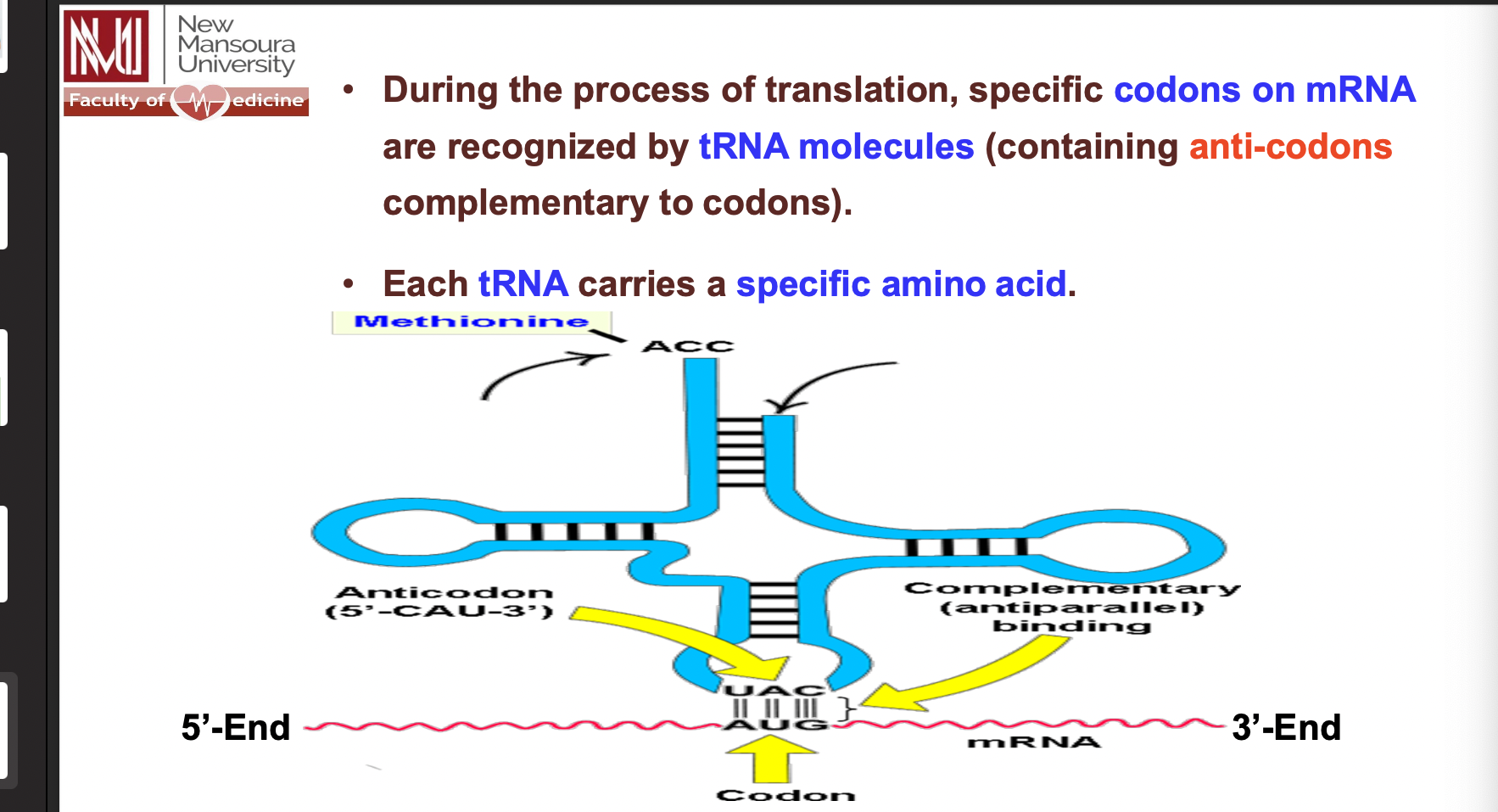 <p>مش عارف بس خايف يجيب حاجة عليها</p><p>tuna anticodon are complimenrty for mRNA codons مبهر جدا</p>