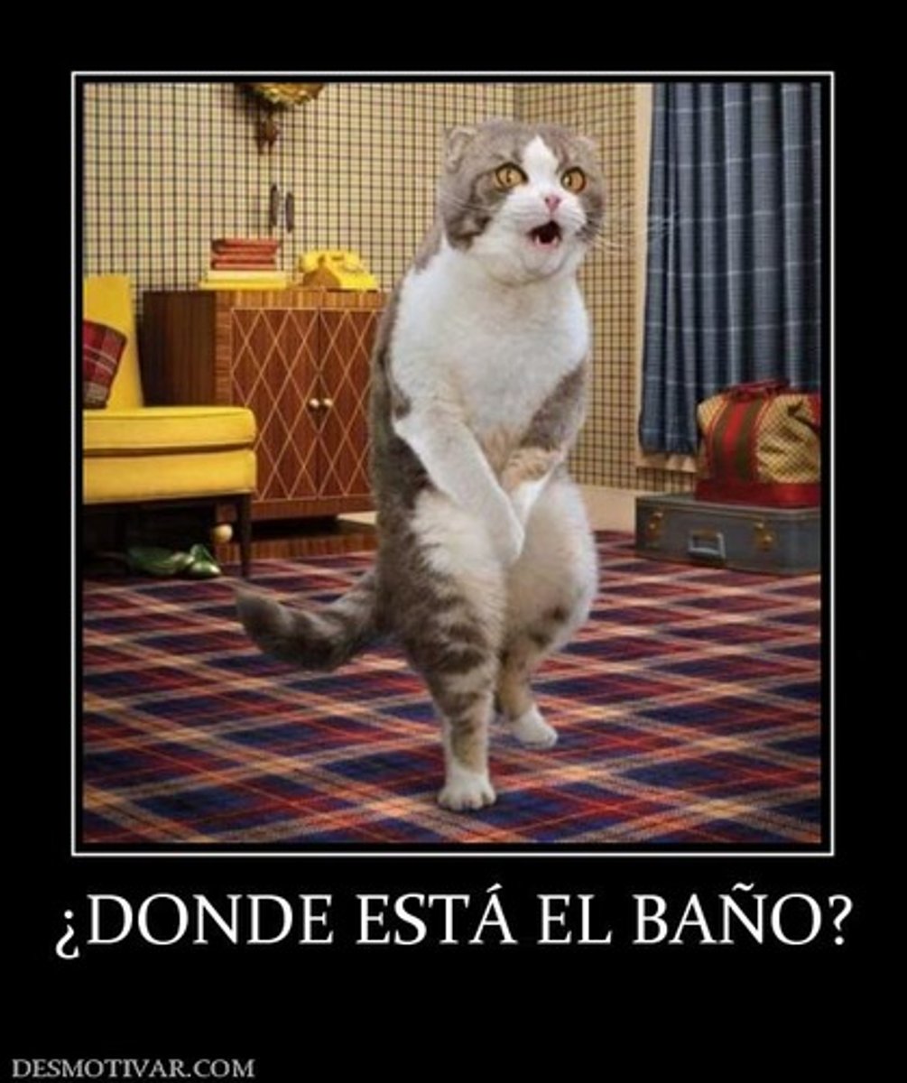 <p>Where is...?</p>