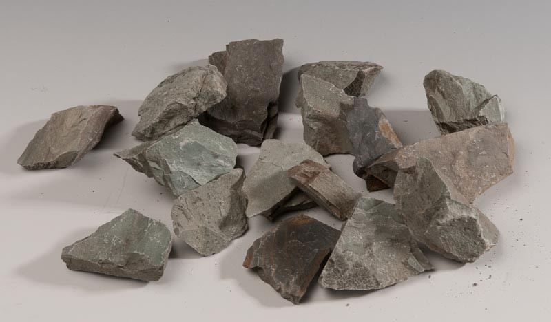 <p>Mudstone</p>