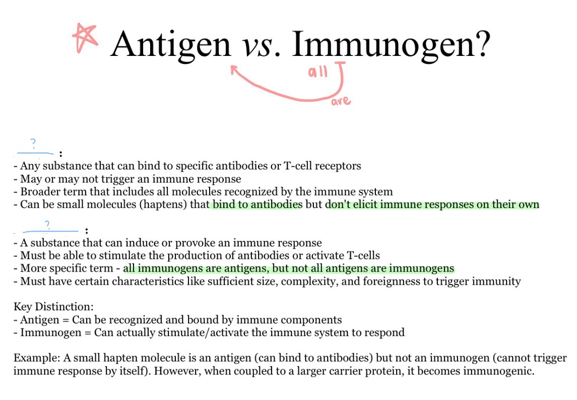 <p>_ and _</p><p><sub>(in order)</sub></p>