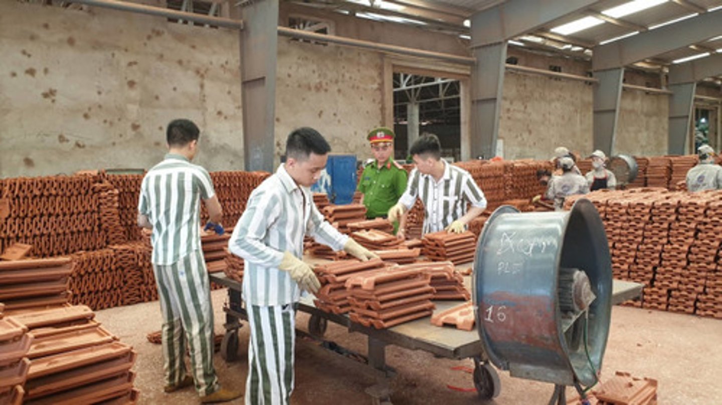 <p>cung cấp chương trình dạy nghề</p>