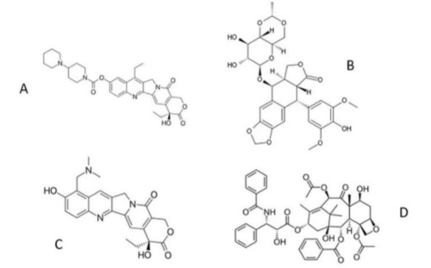 <p>Which one of the antineoplastic agents does not have a lactone?</p>