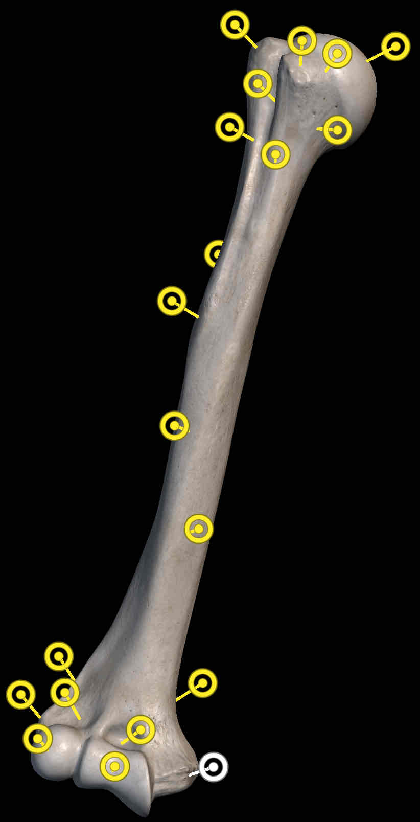 <p>Name the structure </p>
