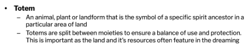 <p><strong>Totem </strong>kinship is when a <strong>person’s identity is linked to a part of the natural environment</strong>, which in turn <strong>links them to the universe.</strong> Each person has <strong>at least 4 totems (nation totem, clan totem, family group / skin name totem and personal totem).</strong> People are <strong>accountable for the protection</strong> and <strong>conservation of their totems</strong>, but they don’t own them; they must <strong>protect them</strong> so that they can be passed on to the next generation. A <strong>moiety </strong>has a specific totem, with <strong>each moiety’s totem complementing the other moiety’s totem. </strong>For example, if one moiety has a <strong>grey kangaroo totem</strong>, the other moiety might have a <strong>red kangaroo totem</strong>. While individuals can hunt and eat totems that aren’t theirs, they <strong>cannot hunt and eat their own totem, and they are responsible for the welfare and population of their totem. </strong>Totems also <strong>reflect an individual’s strength and weaknesses.</strong></p>
