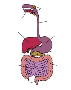 <p>Label this diagram</p>