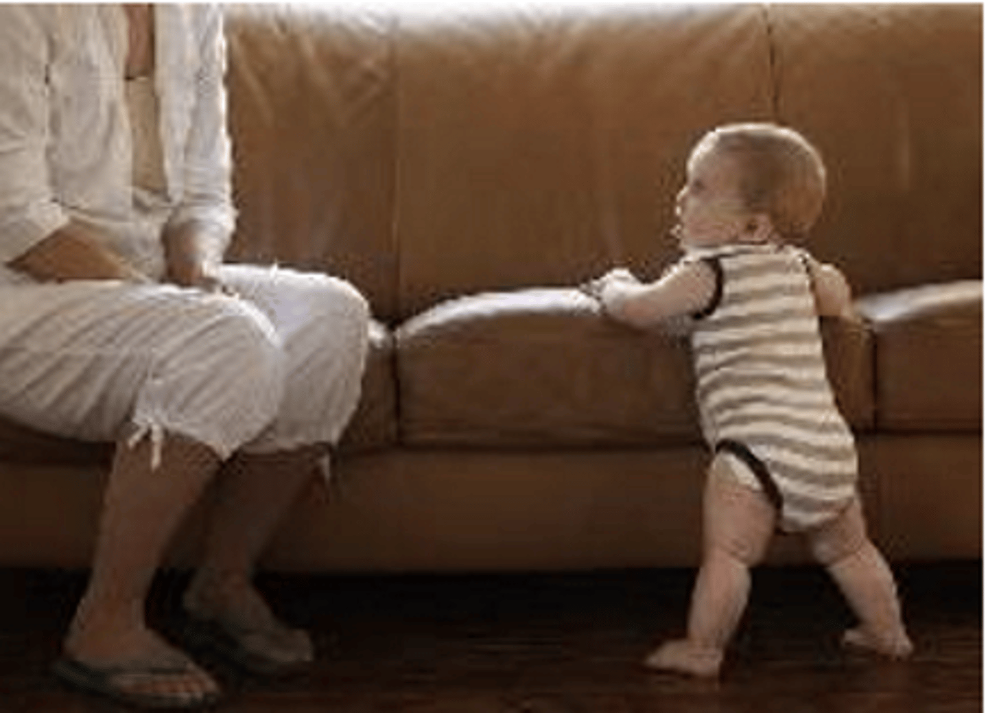<p>1. Cruises - lateral movements along furniture</p><p>2. Locomotion - Creeping is main mode </p>