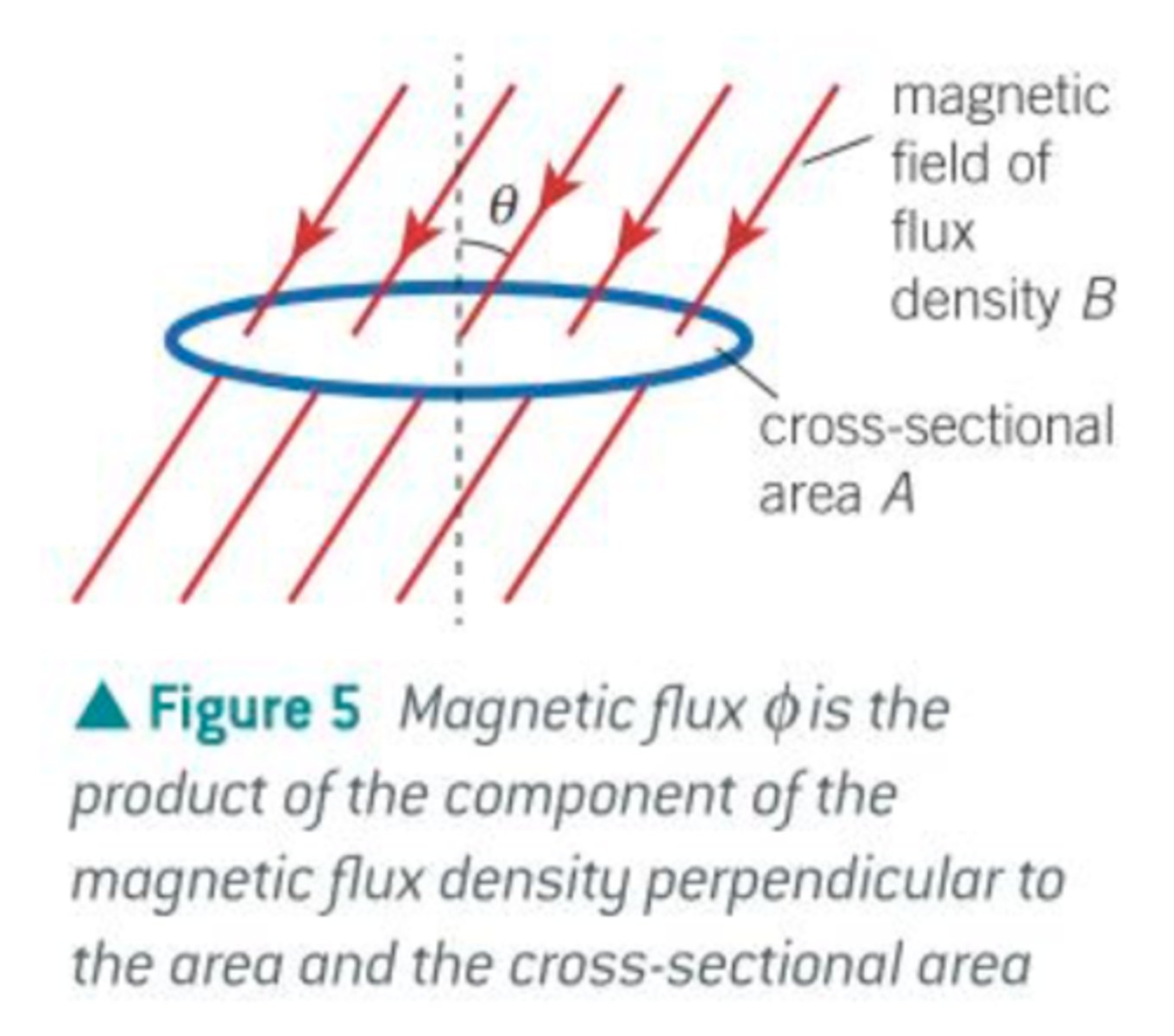<p>The product of the component of the magnetic flux density perpendicular to the area and the cross-sectional area</p><p>ɸ = BACos𝛳</p><p>where B = magnetic flux density</p><p>A = cross-sectional area of the loop</p><p>𝛳 = angle between the magnetic field and the normal to the surface of the loop</p><p>ɸ = magnetic flux, Weber (Wb)</p>